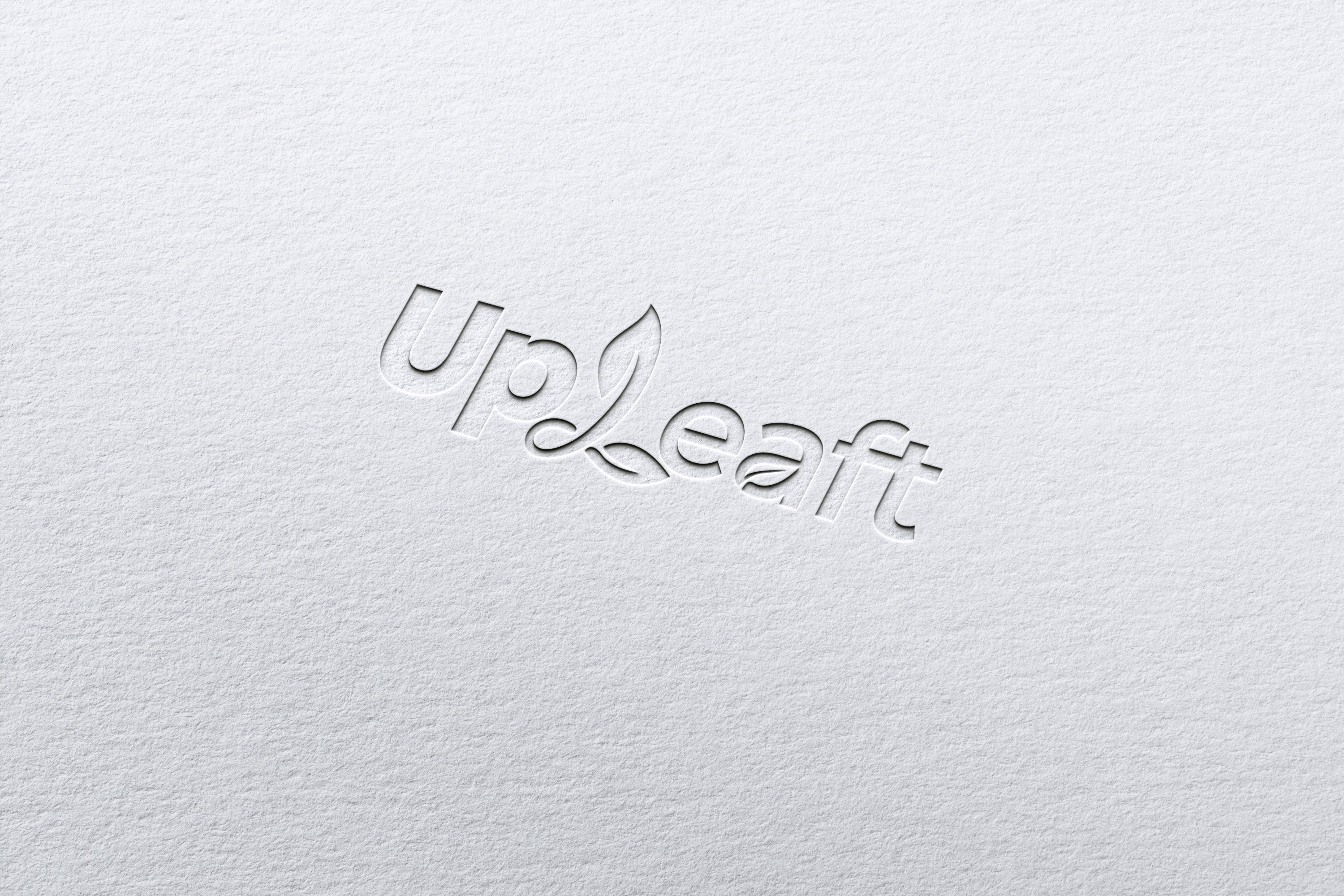 unique brand logo design full branding