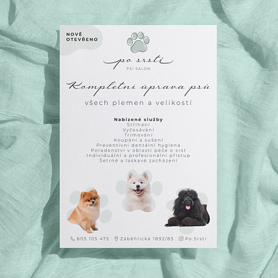 Dog salon flyer 🐩🐶 adobe adobeprogrammes branding design work