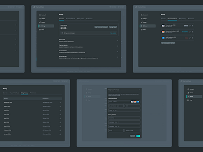 ParseAI — Billing Settings billing history billing settings button callout form input field modal payment methods tab table