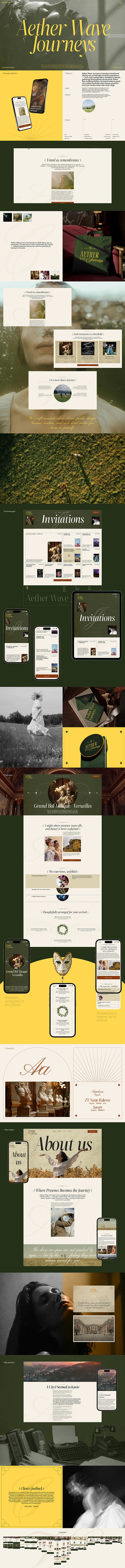 Aether Wave Journeys Corporate Website Desig(1) web design