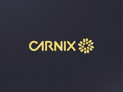 Carnix - Concept branding business card graphic design logo packaging print