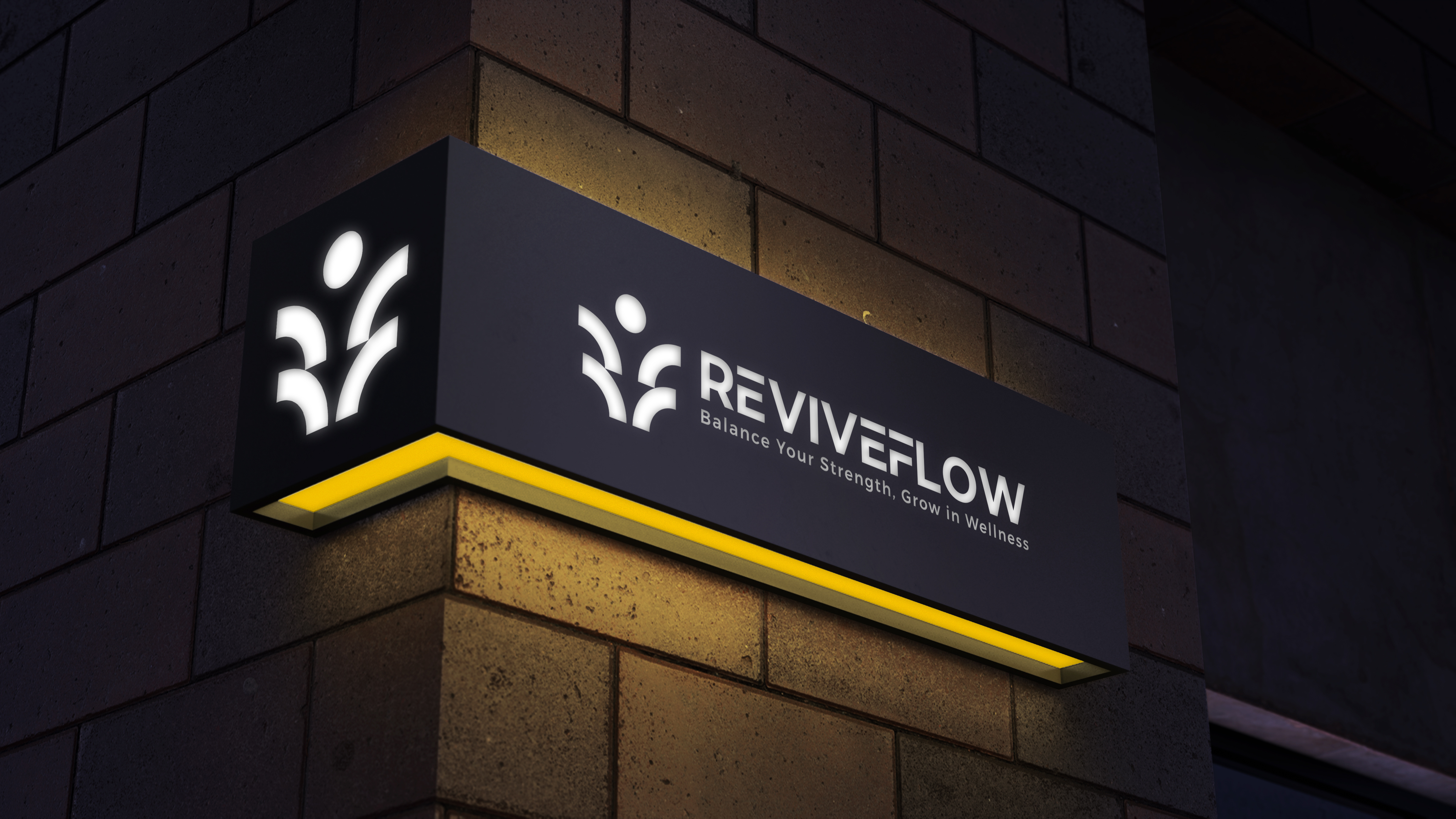 Example of Logo & Full Brand Guideline