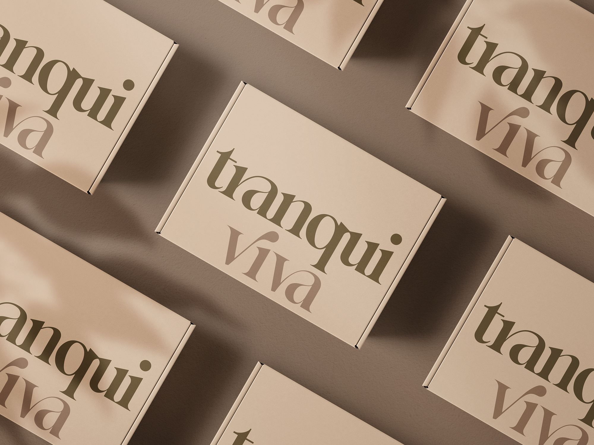 Example of Elegant Packaging Design