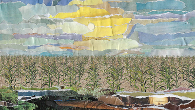 Corn! animation car window corn experimental illustration michigan paper paper collage texture window