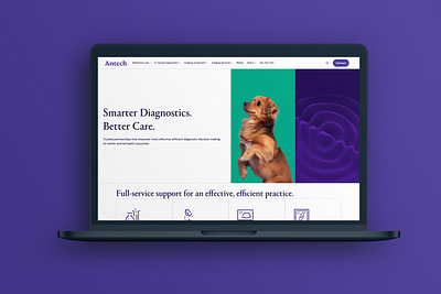 Antech Website art direction branding creative direction design design thinking graphic design illustration landing page photography ui ux