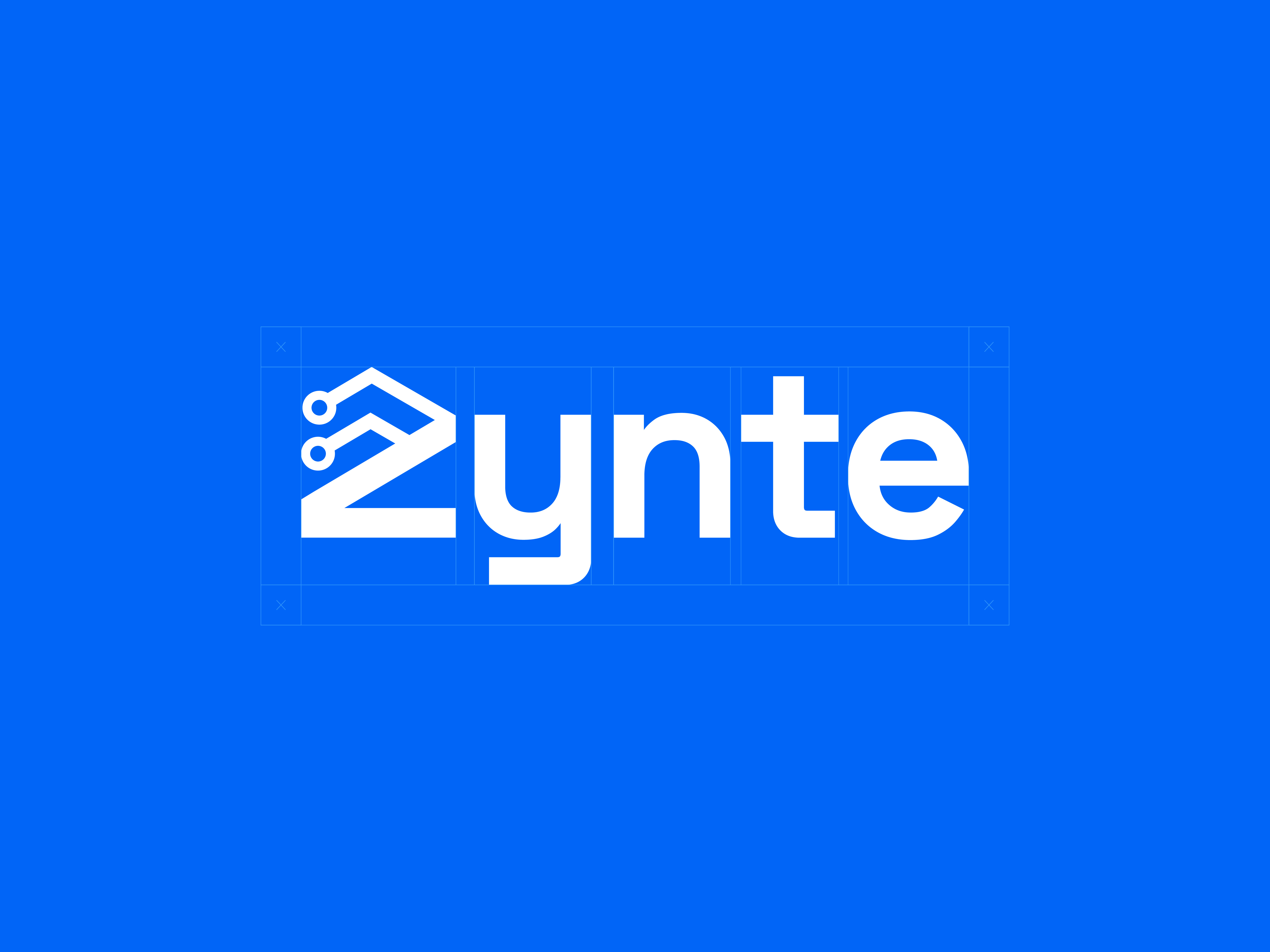 Example of Premium Logo Design Package