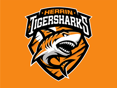 TIGER SHARK Logo Mascot for HERRIN TIGERSHARKS branding design esport esportlogo gaming illustration logo mascot mascot logo orange shark sharklogo sport sportlogo sports sports logo tigershark tigersharklogo