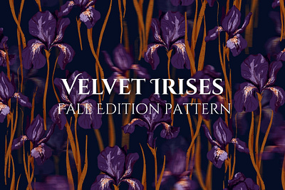 Velvet Irises. Luxury Floral Pattern autumn floral pattern autumn flowers branding design fall pattern floral pattern illustration pattern
