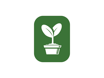 Sprout flower germinate grow growth leaf leaves life new new life plant potted plant seed seedling spring sprout