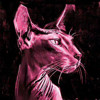 Lying Cat illustration procreate
