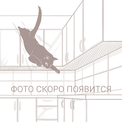Заглушки для сайта pinskdrev.by cat furniture graphic design illustration photoshop