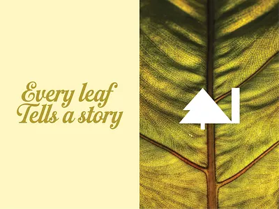 TREE + N 2025 branding creative logo design evergreen forest graphic design green illustration leaf logo leaf logo inspiration logo logo inspiration minimal logo n logo nature tree typography vector