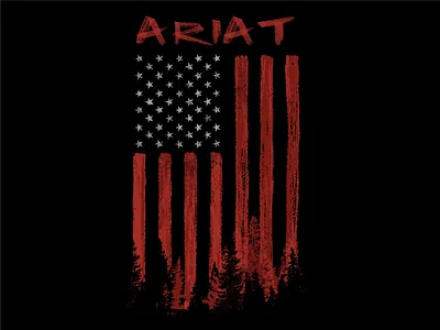 Outdoor Flag american flag americana branding flag graphic design hand drawn illustration outdoor tee shirt western