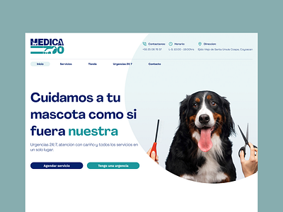 Veterinary Website Concept branding graphic design landig page design landing page mobile app product design ui ui design ux uxui web design website