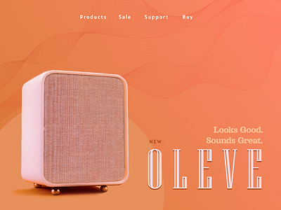 Smart Speaker Website Homepage