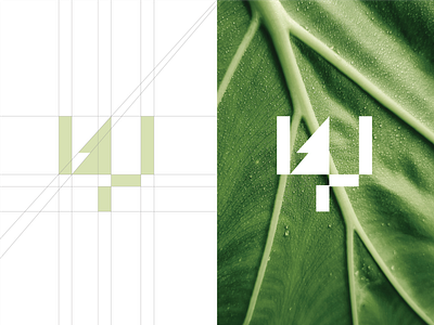 TREE + 4 + W 2025 branding design graphic design green illustration leaf leaf logo leaf logo ideas leaf logo inspirations logo logo ideas minimal logo nature tree typography vector