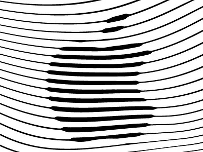 Lines Organic Pattern after effects animation apple branding design gif line animation lines logo motion organic pattern ui