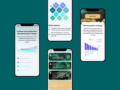 Sinai website — mobile adaptation adaptation bachoodesign clean design ecology interface mobile ui uiux design ux web design website