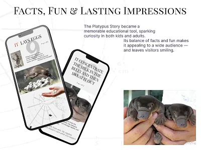 Curious Platypus creative direction fashion website landing page ui web design