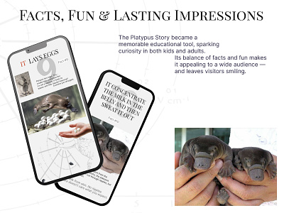 Curious Platypus creative direction fashion website landing page ui web design