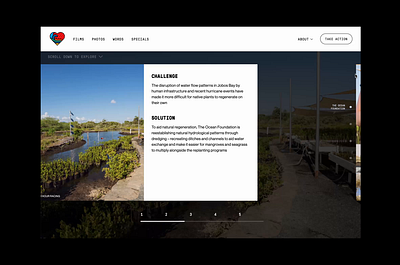 Horizontal scrolling case studies 11th hour case studies charity digital design figma horizontal scroll puerto rico scrollytelling storytelling ui webflow wireframing