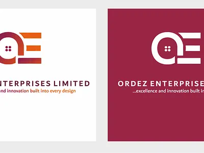 Professional Logo Design branding company logo graphic design logo design visual identity