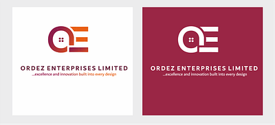Professional Logo Design branding company logo graphic design logo design visual identity