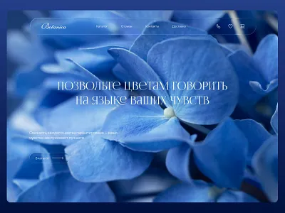 Concept Botanica concept design uxui web