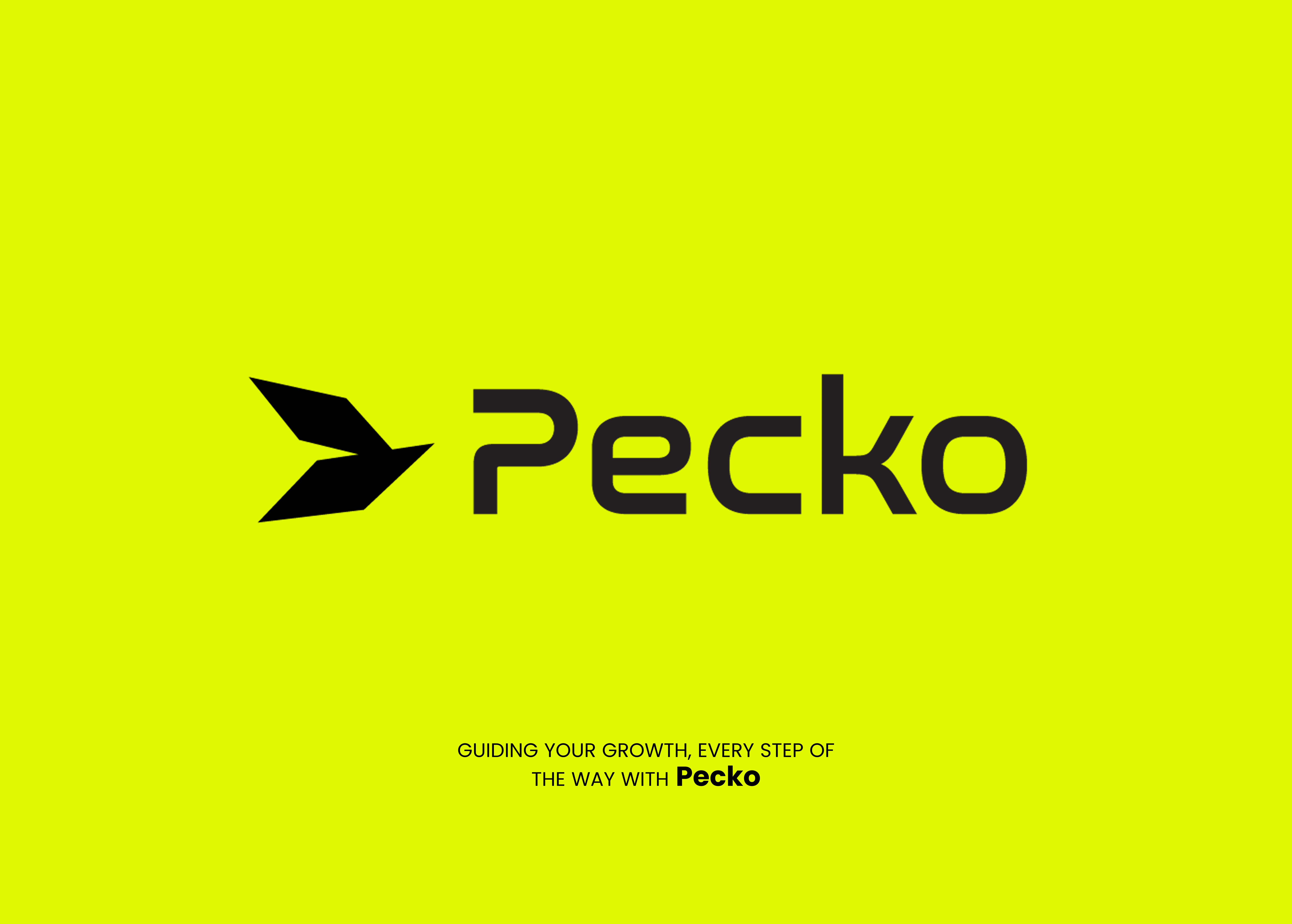 Example of Professional Logo Design