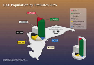 UAE Population Breakdown 2025 - 3D Infographic Design branding graphic design infographic