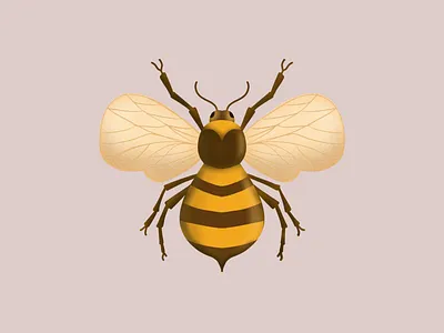 Honey Bee art bee digital art drawing honey illustration insect procreate sting wings