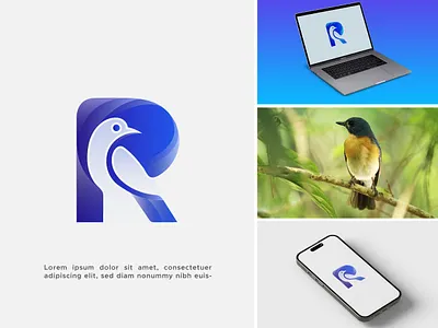 Bird Logo,Letter Logo,logo and brand identity bird bird logo brand design brand identity branding creative logo identity letter logo logo logo design logo tipo logos logotype minimal logo minimalist modern logo visual identity