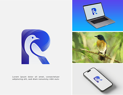 Bird Logo,Letter Logo,logo and brand identity bird bird logo brand design brand identity branding creative logo identity letter logo logo logo design logo tipo logos logotype minimal logo minimalist modern logo visual identity