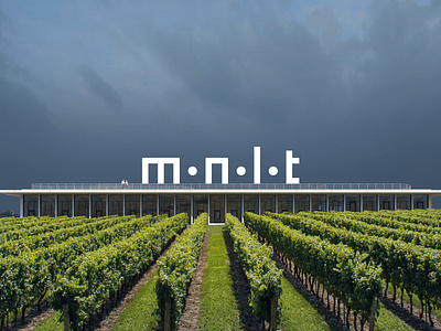 Monolot Studio branding design graphic design logo typography vector