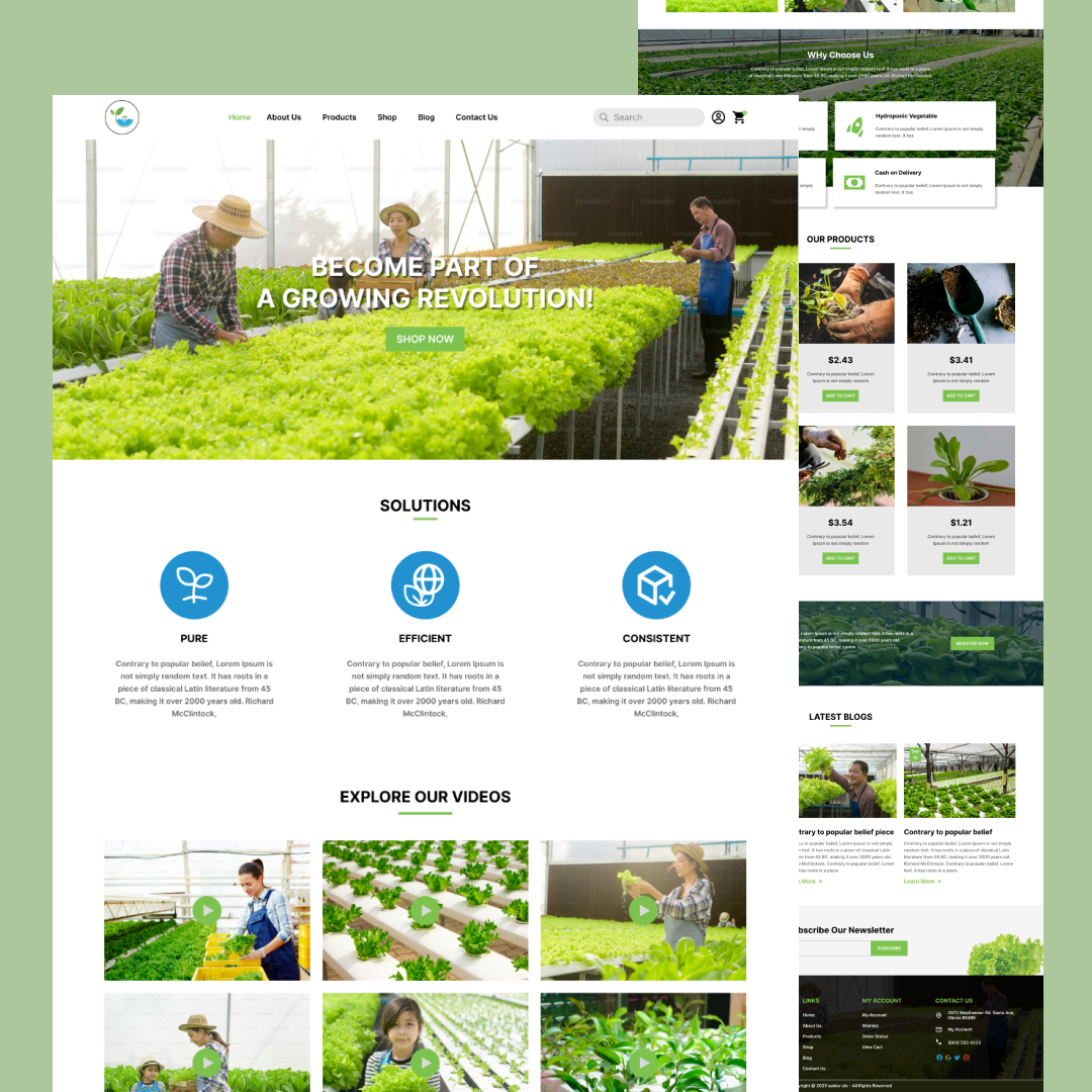 Hydroponic Web Design — fresh, clean, and sustainable just like agritech green hydroponic web design