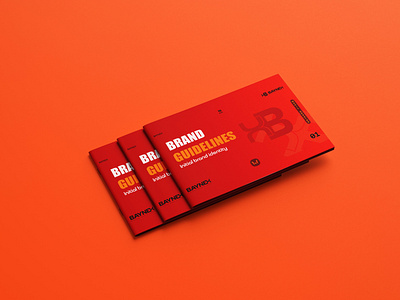 BAYNEX Full Brand Guidelines branding graphic design logo visual identity