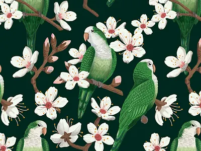 Parrots & Almond Blossoms Print illustration print surface design