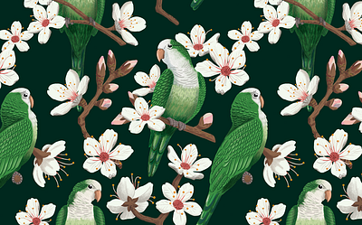 Parrots & Almond Blossoms Print illustration print surface design