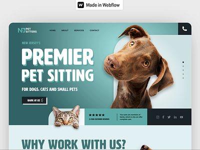 NJ Pet Sitters Website Design webflow website design