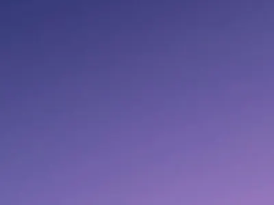 Logo Animation | The Adventure Challenge animation branding design illustration motion graphics