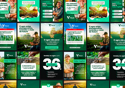 Anúncios para tráfego pago - Agronegócio