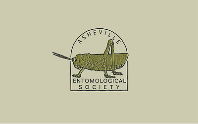 Asheville Entomological Society branding design entomology hand drawn illustration logo