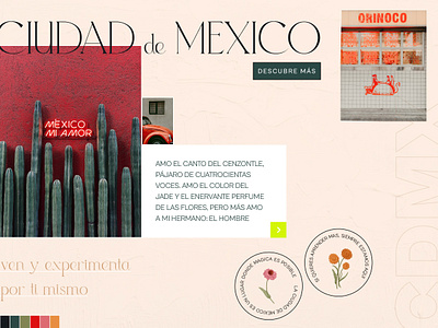 Ciudad de Mexico - "Quirky" Style Tile branding cabinet grotesk cdmx ciudad de mexico df magnificens mexico city quirky style tile ui ui design