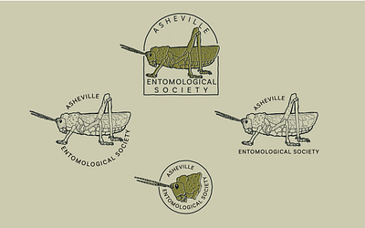 Entomological Society Logo Variations adobe illustrator branding design entomology hand drawn illustration logo