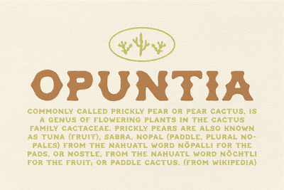 Opuntia ~ Curvy Spur brand branding cactus design display font mexican mexico new mexico prickly pear texas type typeface westerm western