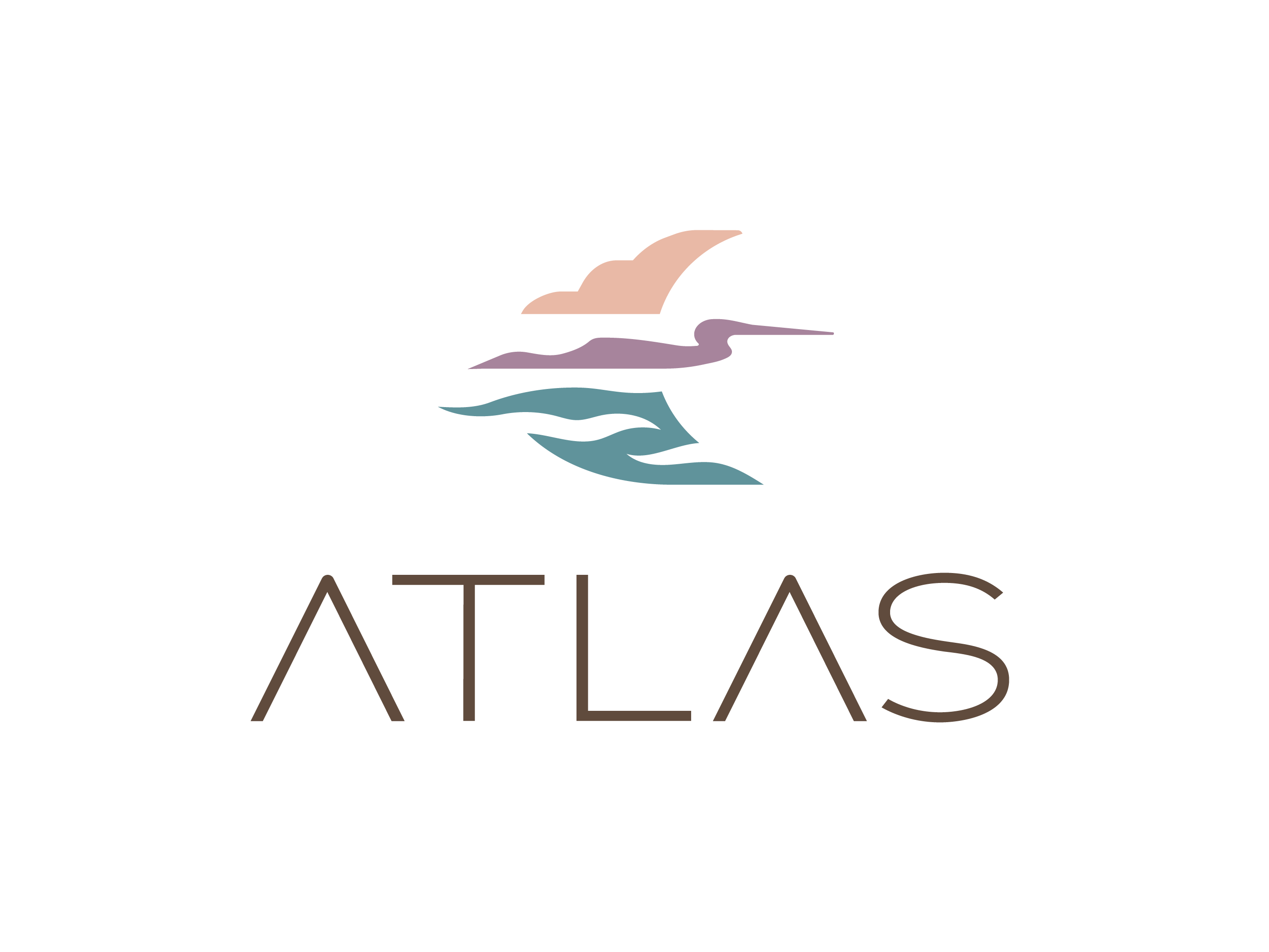 Identity Design : Atlas aerospace air bird branding clouds crane elements graphic design heron identity identity design illustration logo logo design logos nature print technology water waves