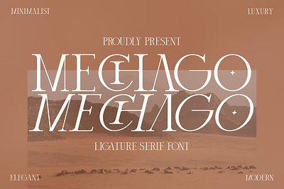 Mechago Stylish Serif Font cover cover lettering cover-lettering display font font font family font freebies fonts free freebies font freebies fonts freebies-font freelance graphic design handwritten lettering lettering cover sans stylish type typography variable font