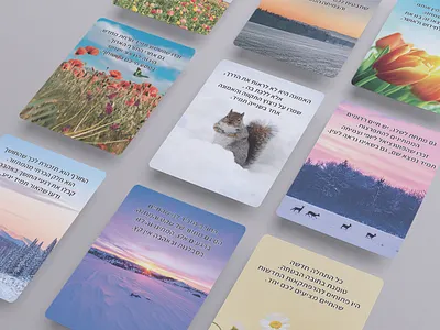 playing cards design design cards gift graphic design illustration photos playing cards