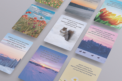 playing cards design design cards gift graphic design illustration photos playing cards