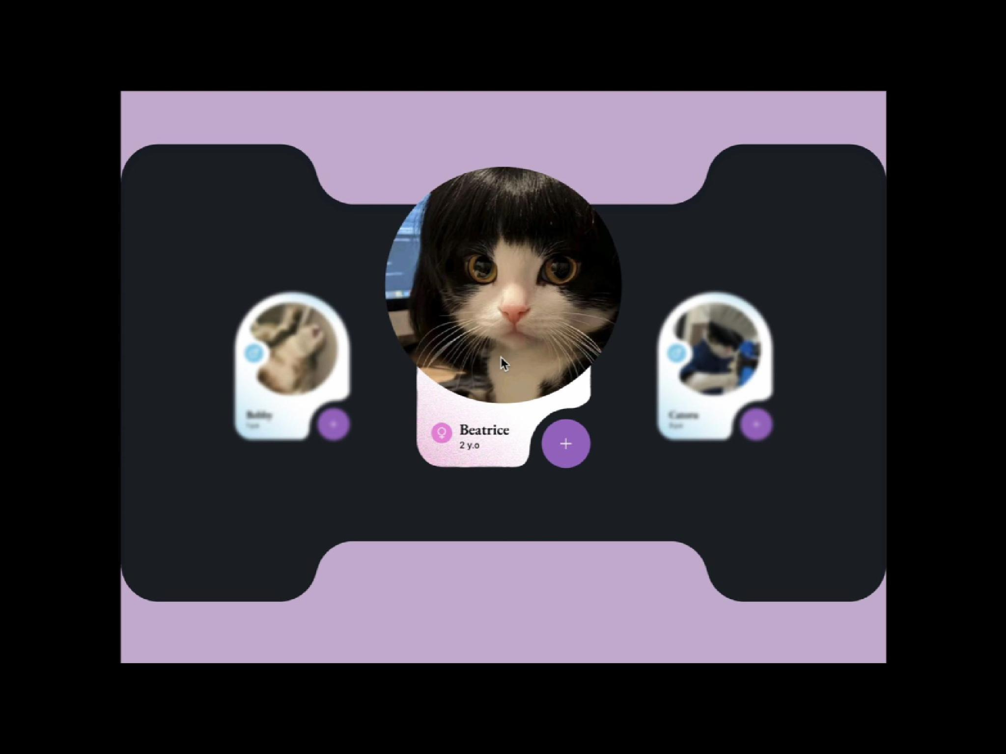 Card Animation・Cat Edition animation card cat cat lover component cute design experience gojo satoru love match meme product design prototype swipe ui ux